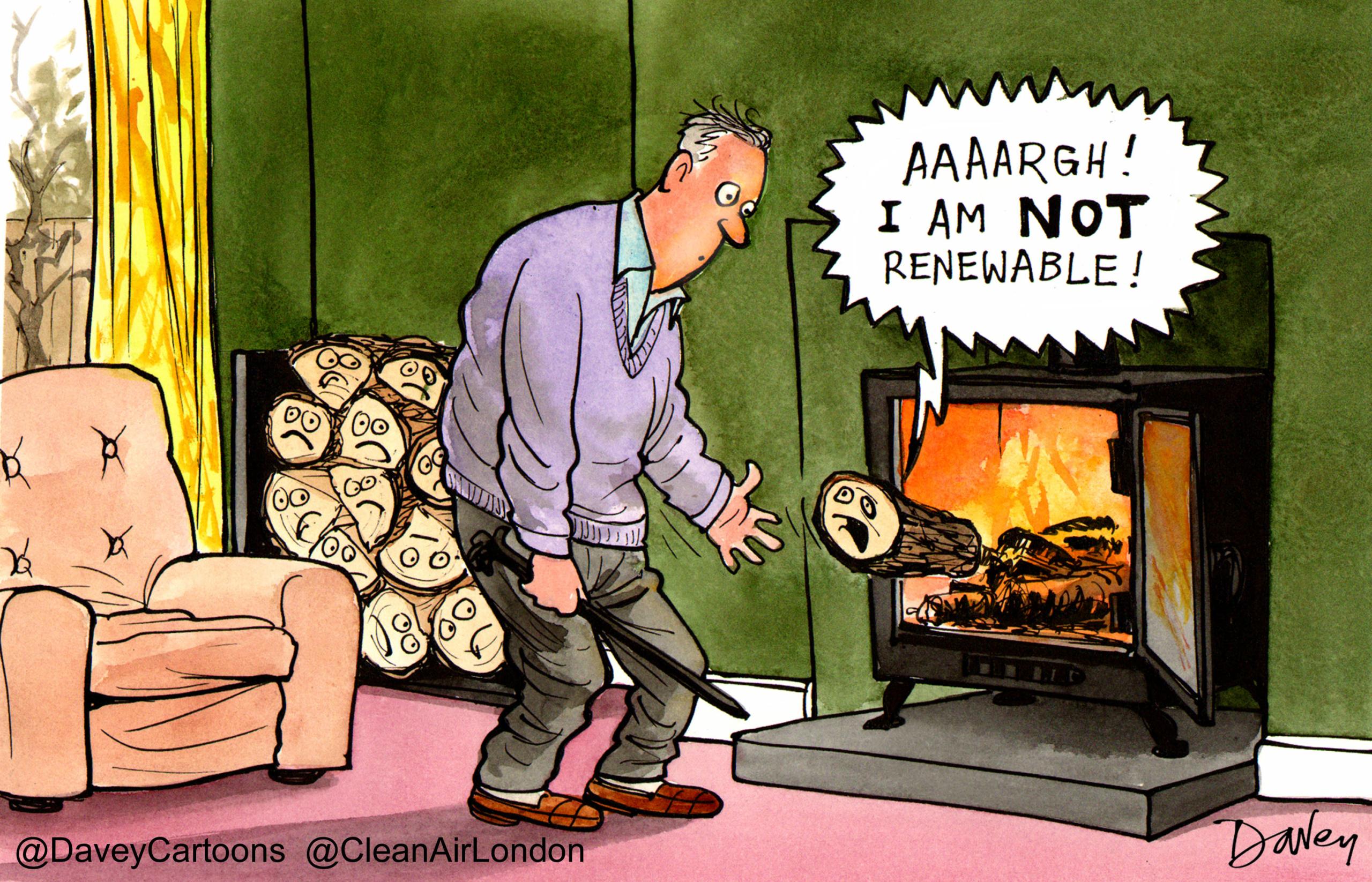 CAL calls for investigations into government’s failure to address wood burning