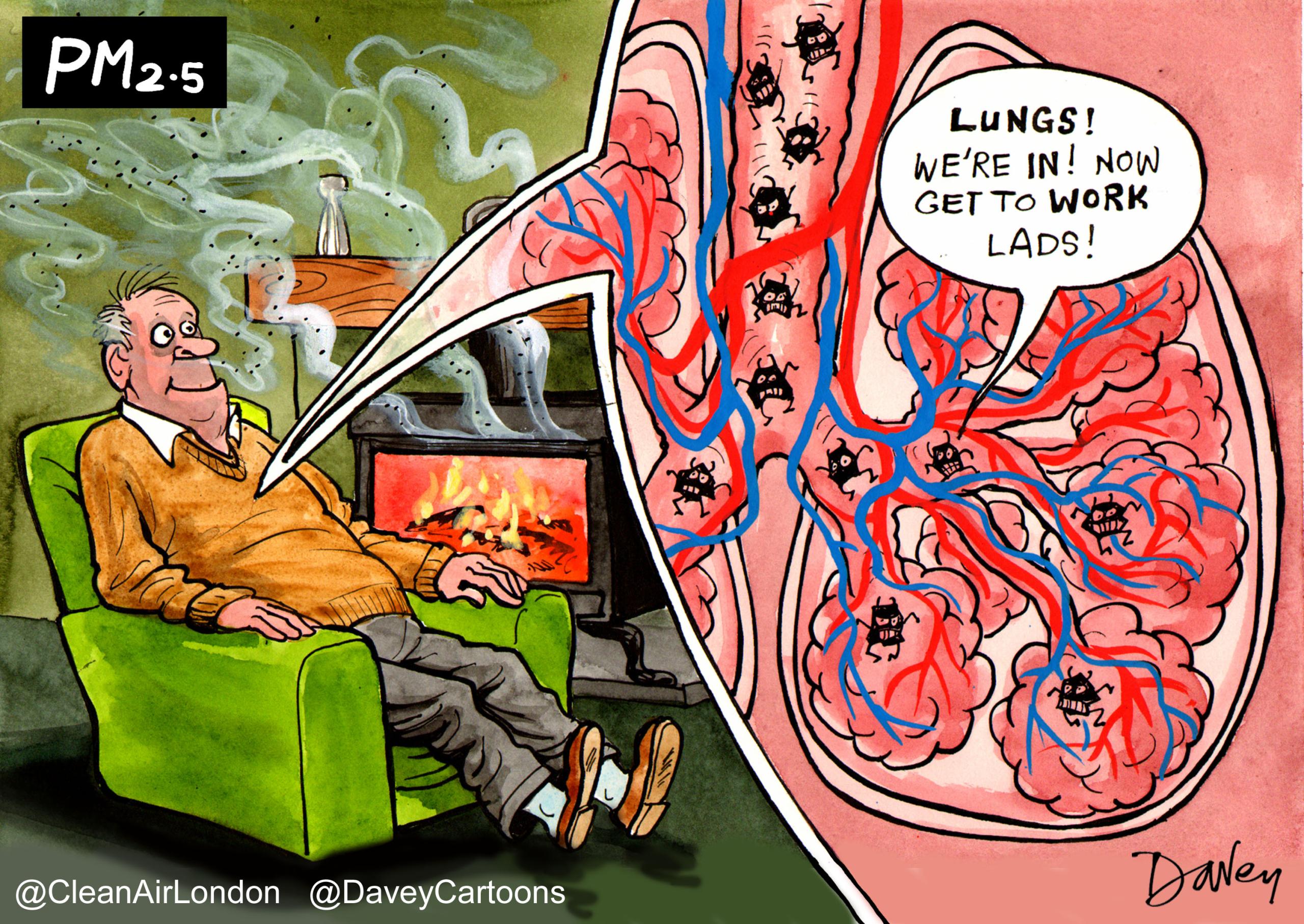 CAL calls for investigations into government’s failure to address wood burning